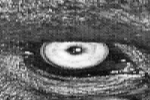 002_nearest_zoom.png