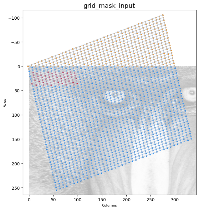 grid_mask_input.png