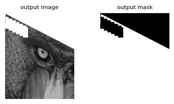 grid_mask_output.png