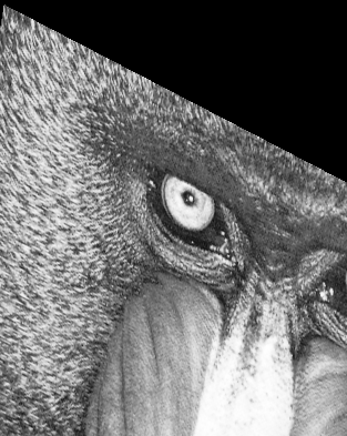 resampling_8_8.png