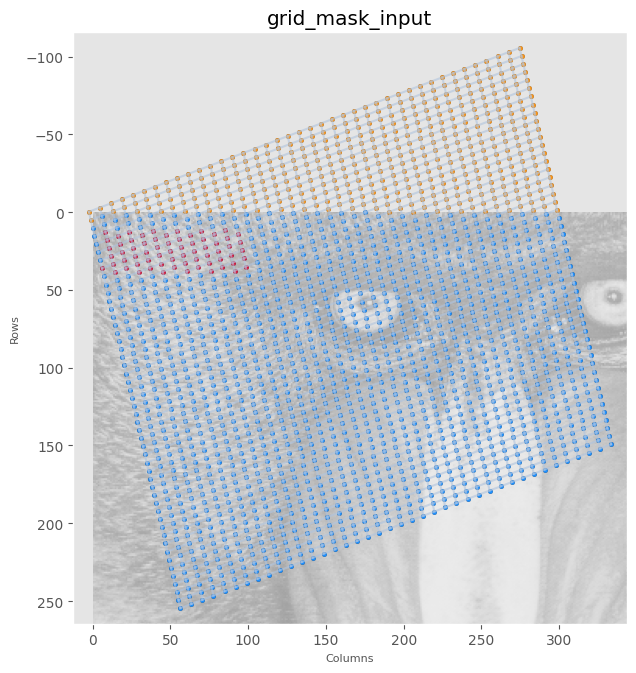 grid_mask_input.png