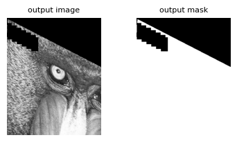 grid_mask_out_int8.png