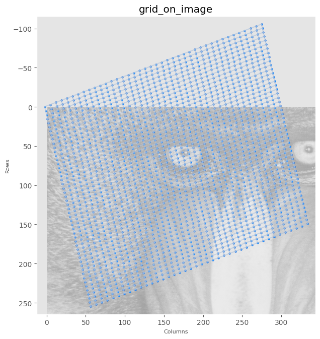 grid_on_image.png